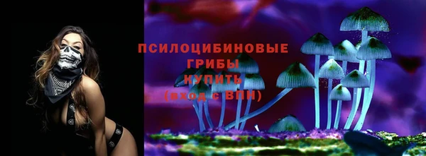 спиды Абдулино