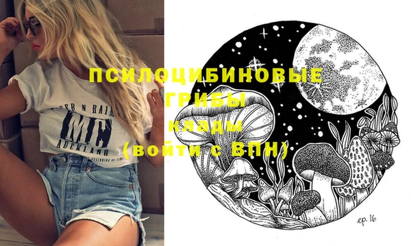 не бодяженный Абаза