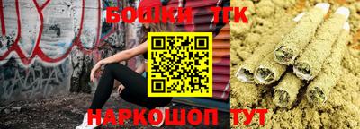 гашик Обнинск