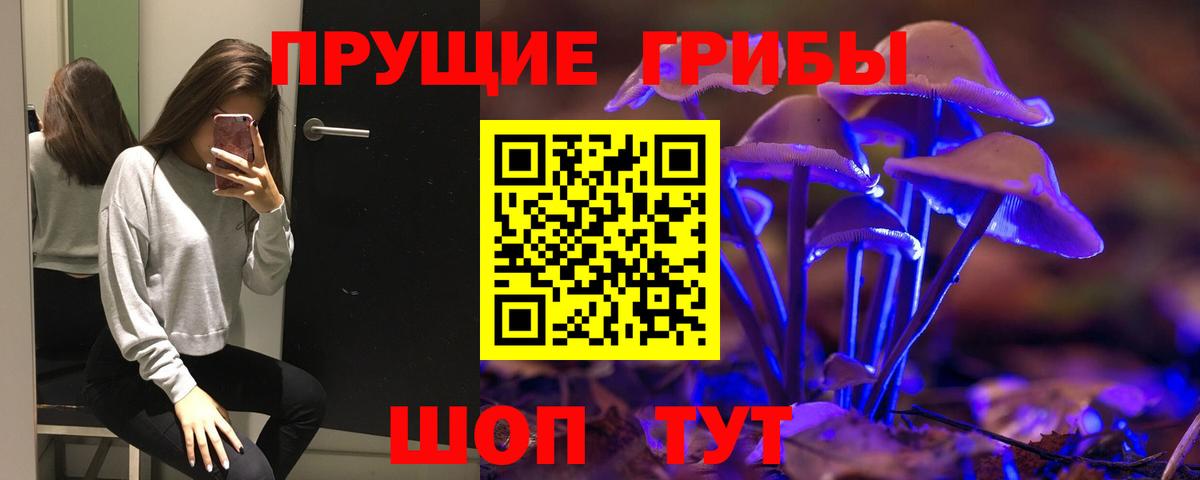Псилоцибиновые грибы ЛСД  Галлюциногенные грибы GOLDEN TEACHER  Новочебоксарск  Вход с VPN 